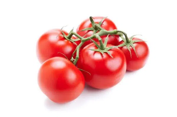 Tomate farcie 1kg